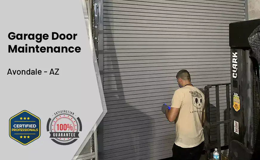 Garage Door Maintenance Avondale - AZ 