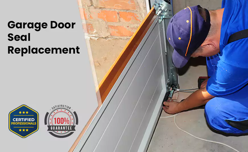 Garage Door Seal Replacement in Avondale, AZ